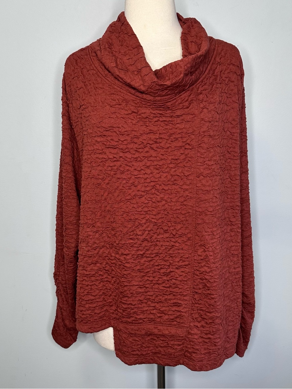 Lisa Bayne Rust Orange Cowl Neck Textured Knit Pullover Top